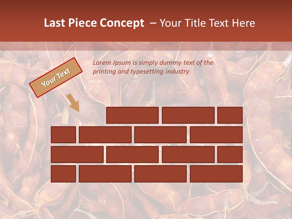 Brown Shell Pea PowerPoint Template
