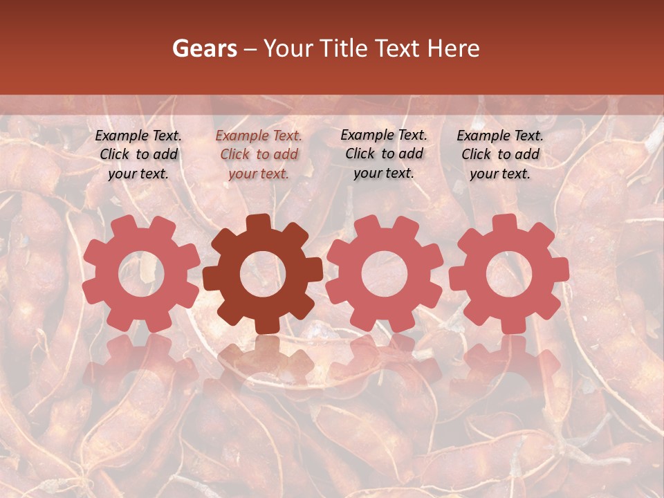 Brown Shell Pea PowerPoint Template