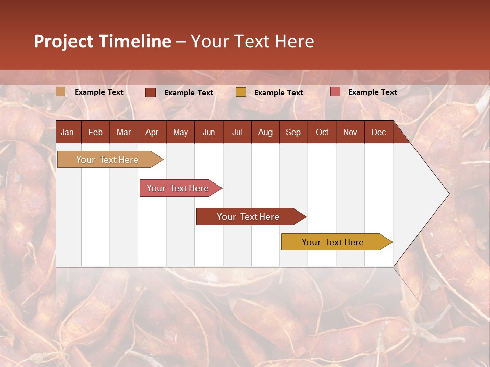Brown Shell Pea PowerPoint Template