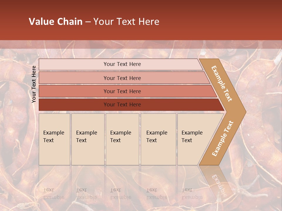 Brown Shell Pea PowerPoint Template