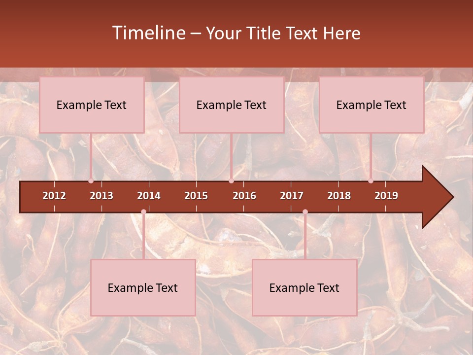 Brown Shell Pea PowerPoint Template