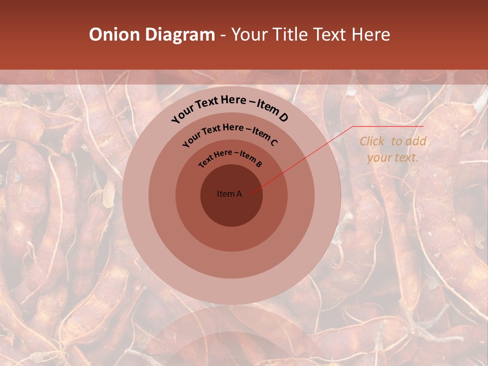 Brown Shell Pea PowerPoint Template