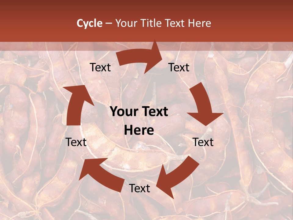 Brown Shell Pea PowerPoint Template