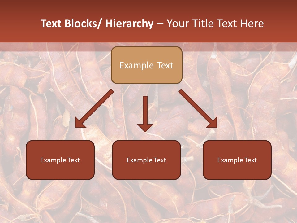 Brown Shell Pea PowerPoint Template