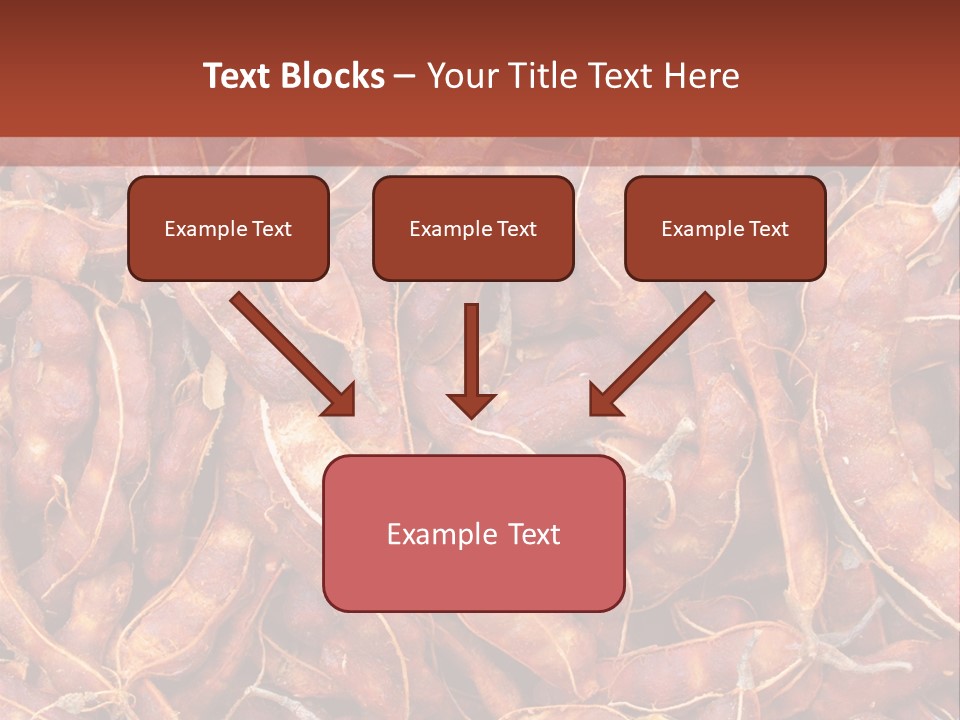Brown Shell Pea PowerPoint Template