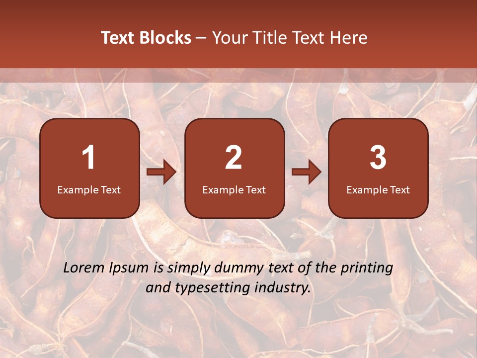 Brown Shell Pea PowerPoint Template