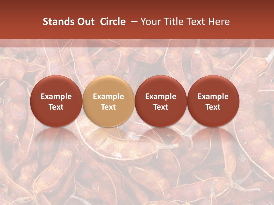 Brown Shell Pea PowerPoint Template