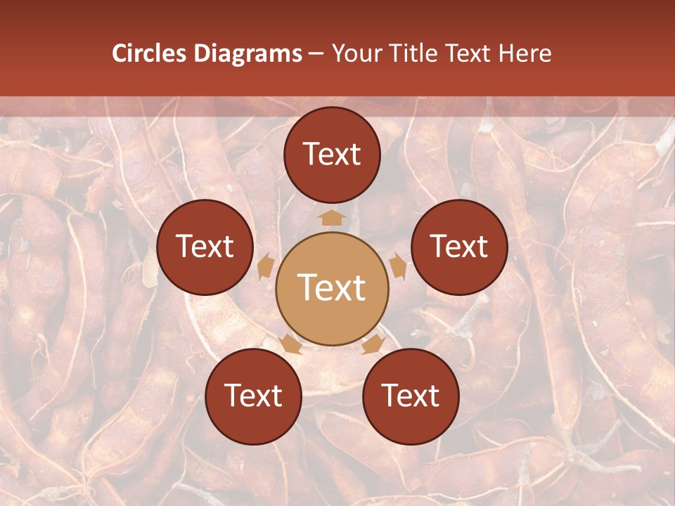 Brown Shell Pea PowerPoint Template