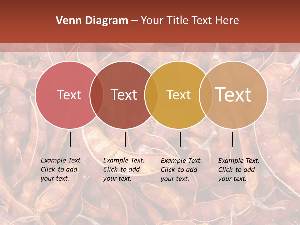 Brown Shell Pea PowerPoint Template