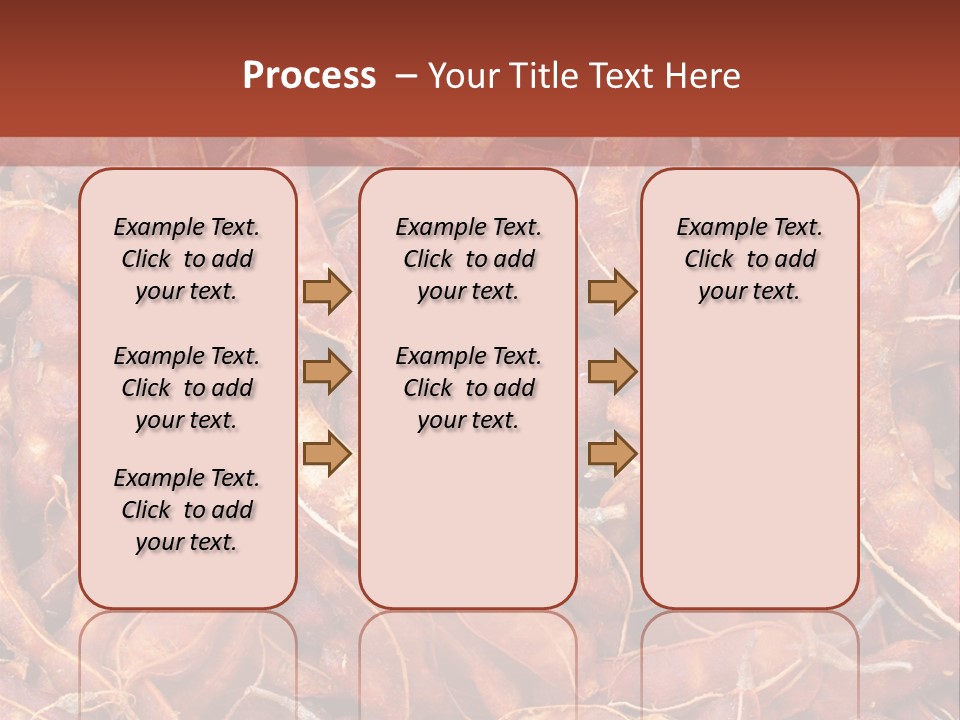 Brown Shell Pea PowerPoint Template