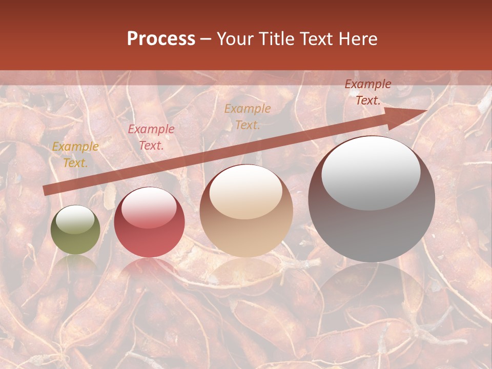 Brown Shell Pea PowerPoint Template