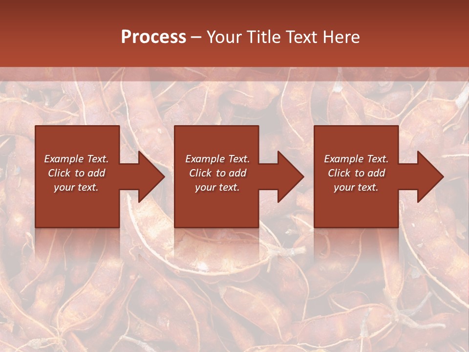 Brown Shell Pea PowerPoint Template