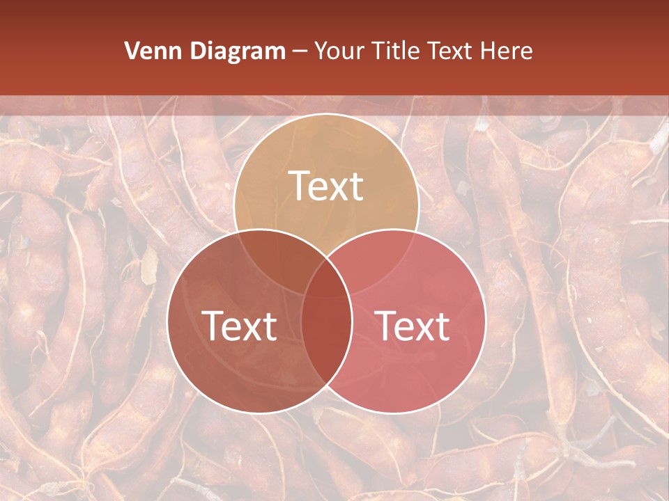 Brown Shell Pea PowerPoint Template