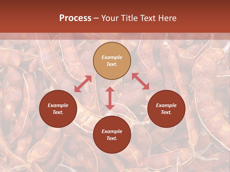 Brown Shell Pea PowerPoint Template