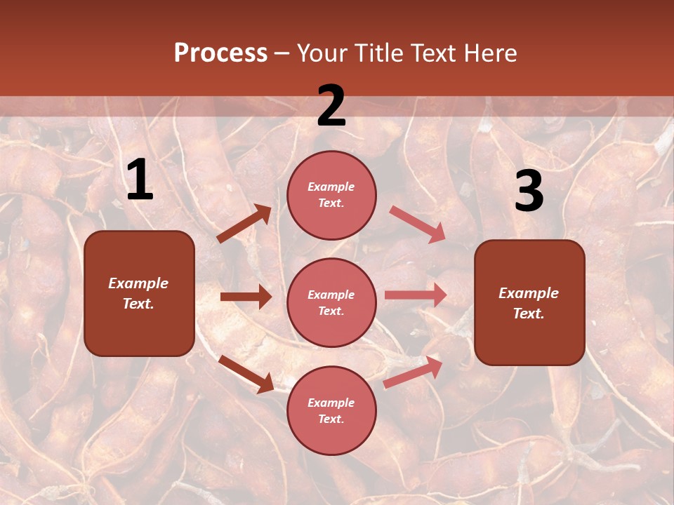 Brown Shell Pea PowerPoint Template