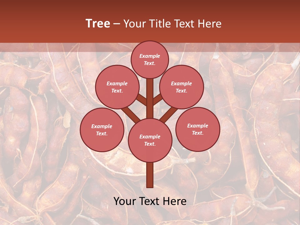 Brown Shell Pea PowerPoint Template