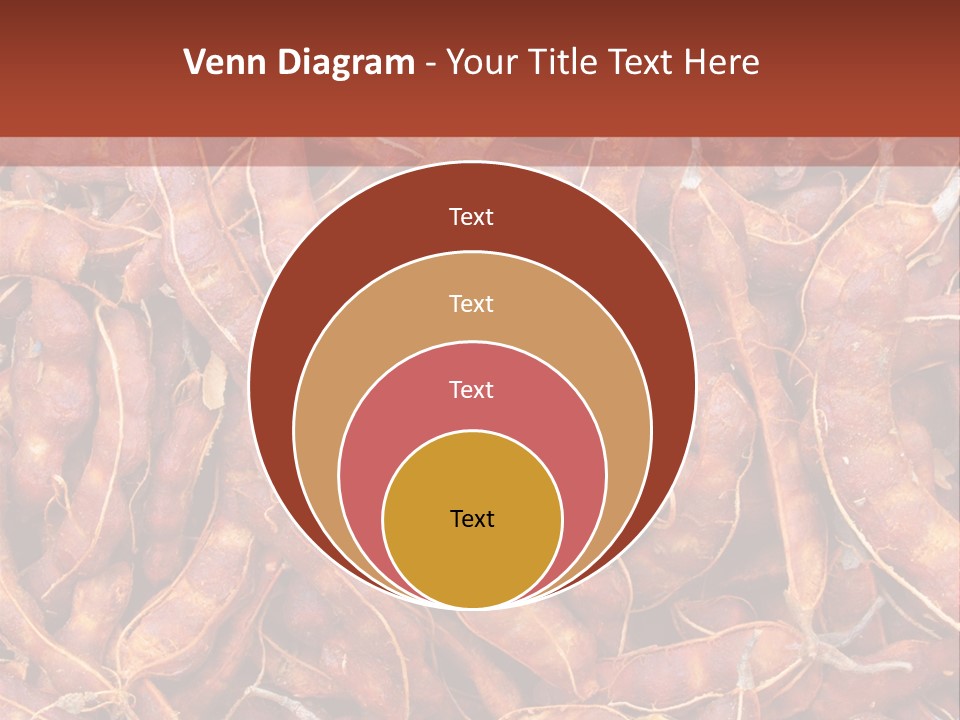 Brown Shell Pea PowerPoint Template