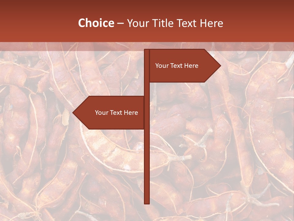 Brown Shell Pea PowerPoint Template