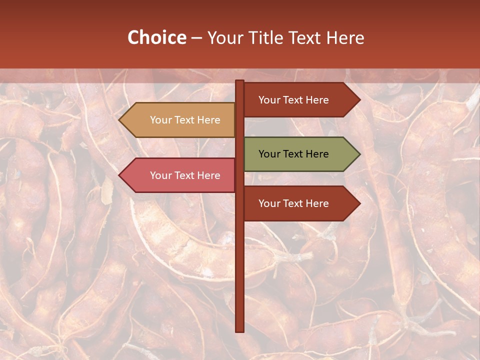 Brown Shell Pea PowerPoint Template