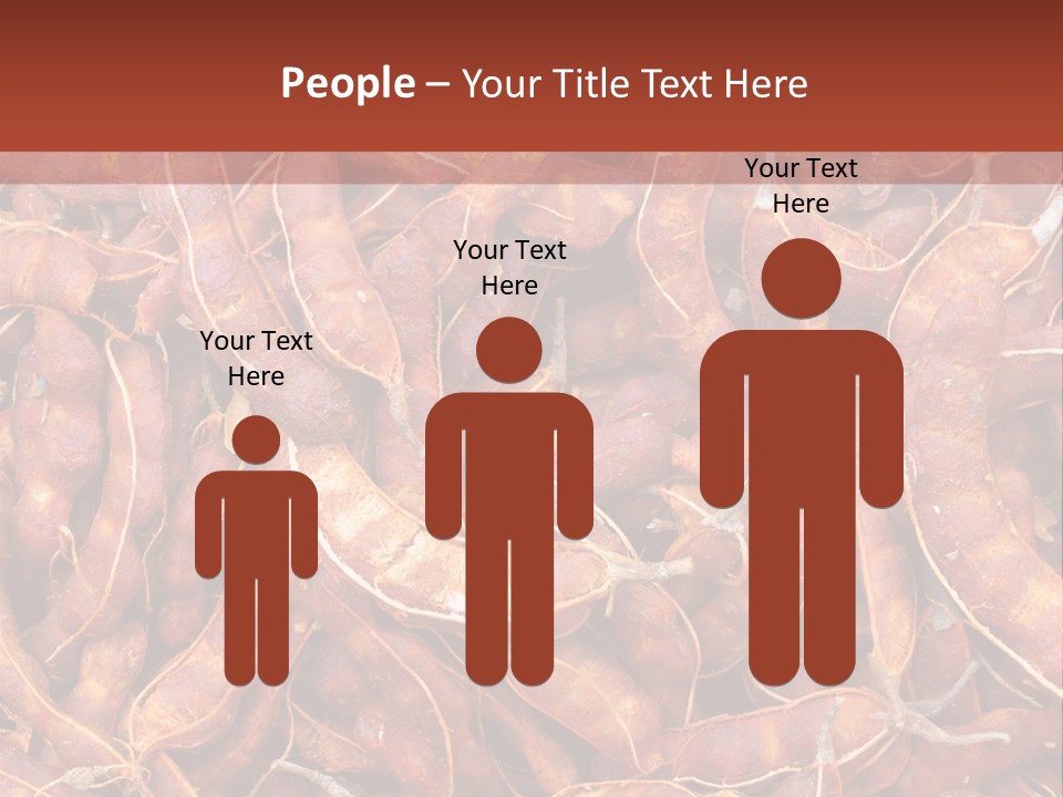 Brown Shell Pea PowerPoint Template