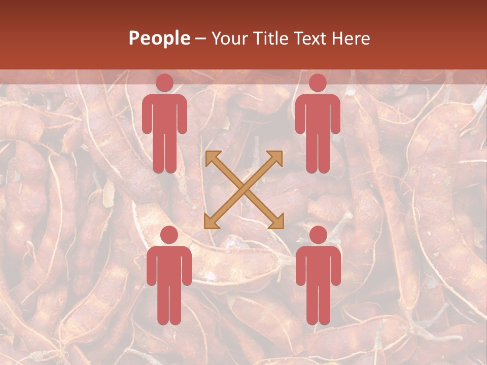 Brown Shell Pea PowerPoint Template