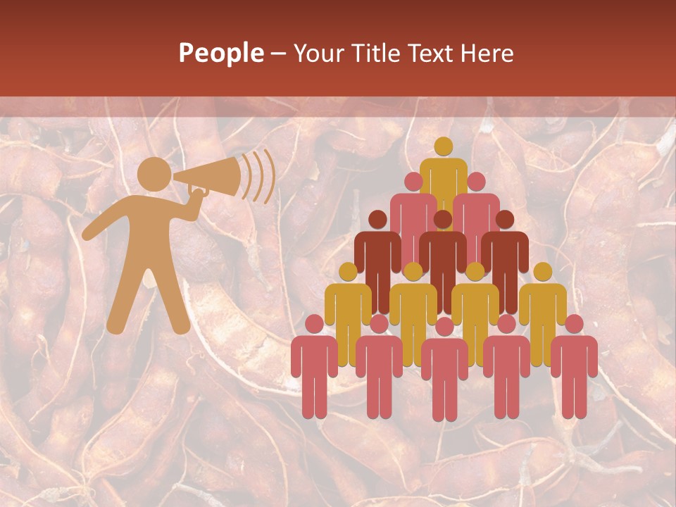 Brown Shell Pea PowerPoint Template