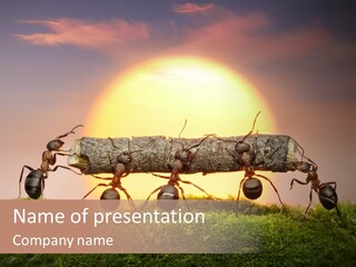 Concept Carry Nature PowerPoint Template