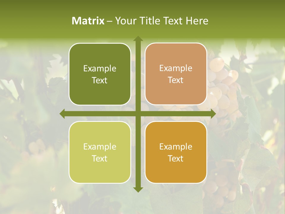 Juicy Sunny Tasty PowerPoint Template