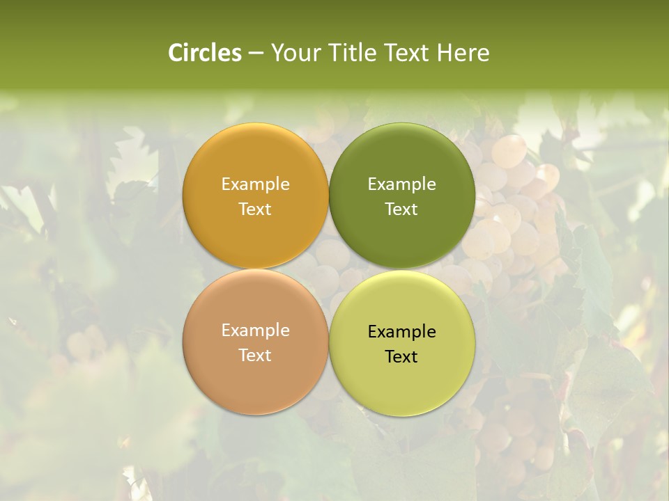 Juicy Sunny Tasty PowerPoint Template