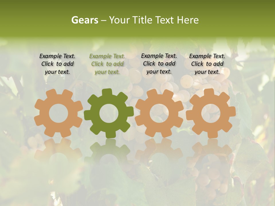 Juicy Sunny Tasty PowerPoint Template