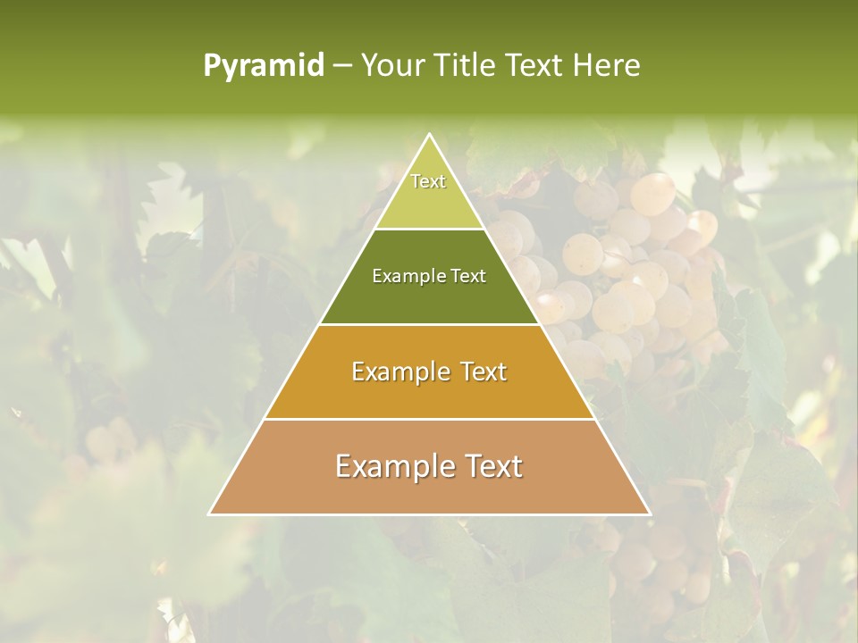 Juicy Sunny Tasty PowerPoint Template