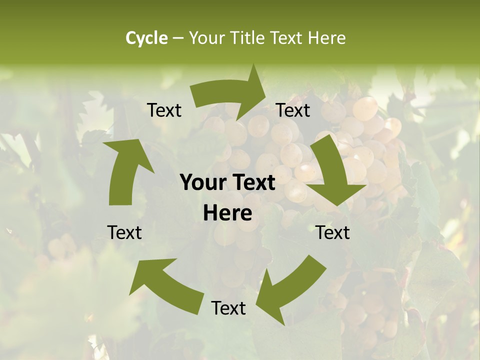 Juicy Sunny Tasty PowerPoint Template