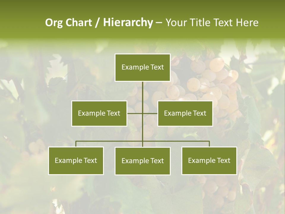 Juicy Sunny Tasty PowerPoint Template