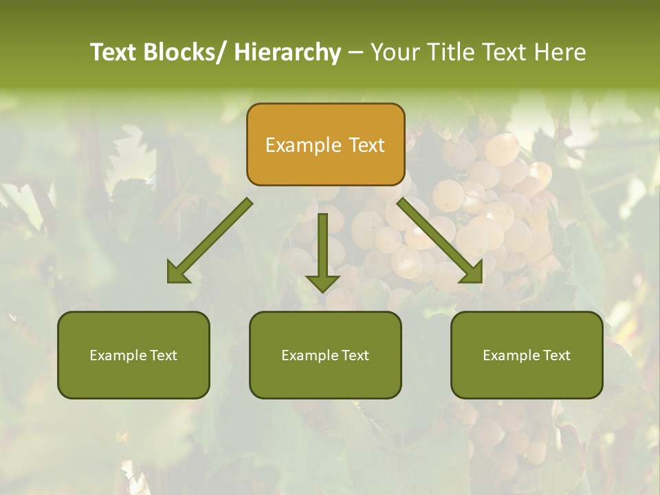 Juicy Sunny Tasty PowerPoint Template