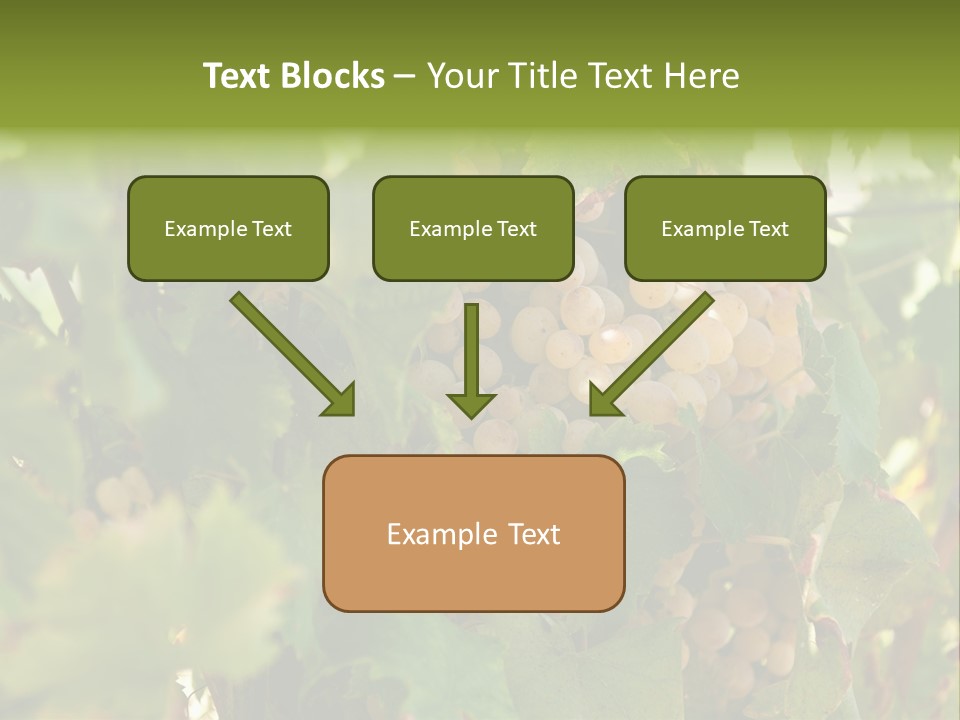 Juicy Sunny Tasty PowerPoint Template