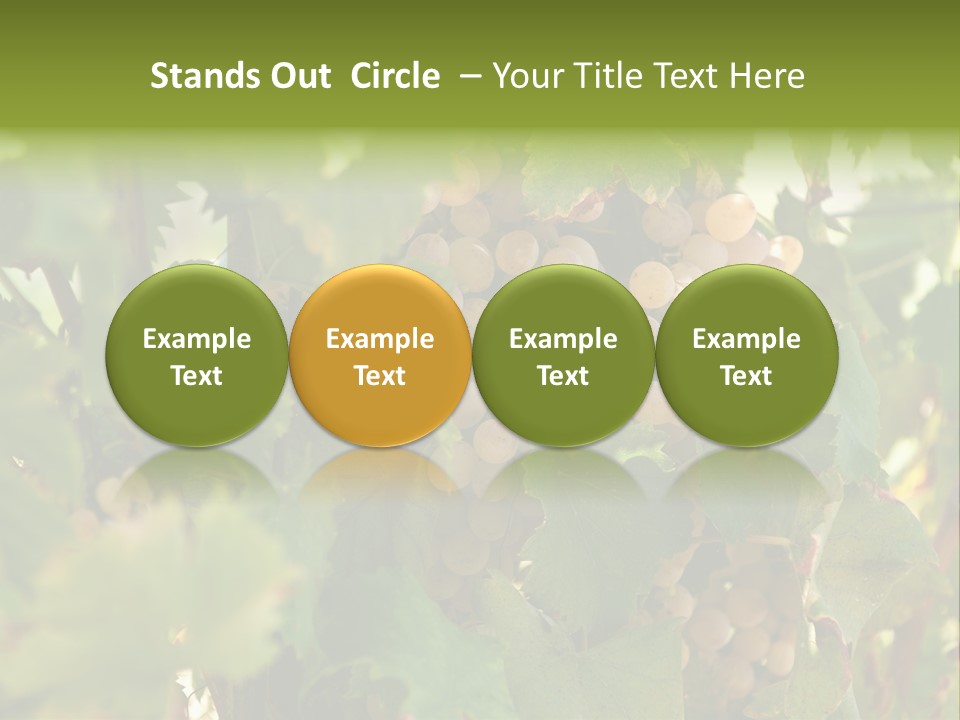 Juicy Sunny Tasty PowerPoint Template