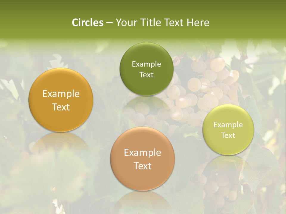 Juicy Sunny Tasty PowerPoint Template