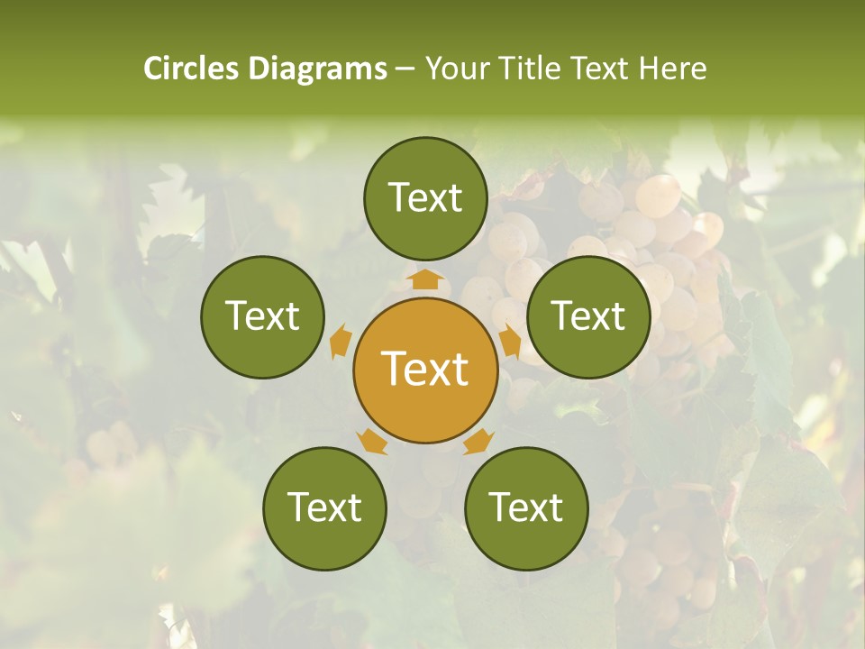 Juicy Sunny Tasty PowerPoint Template