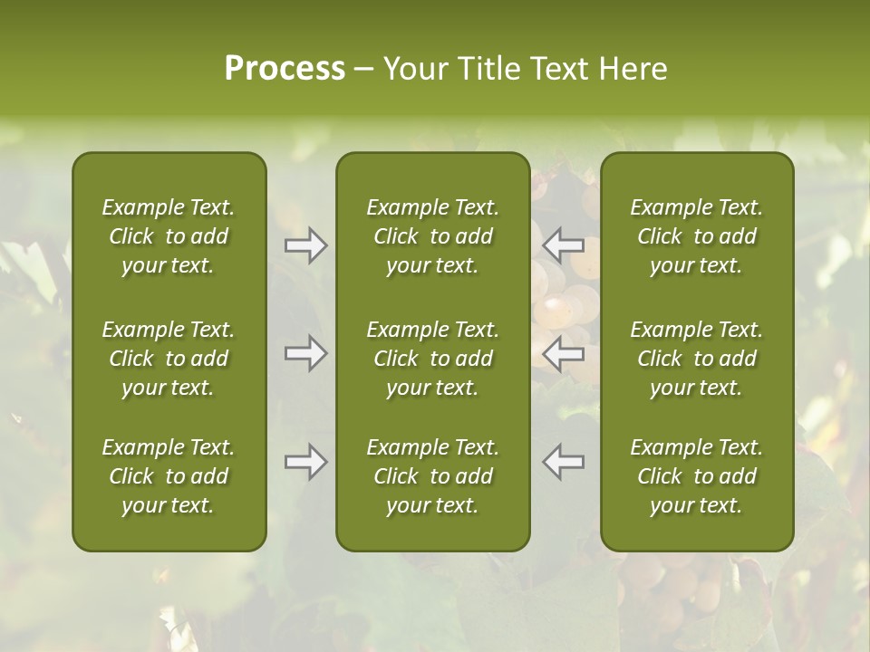 Juicy Sunny Tasty PowerPoint Template