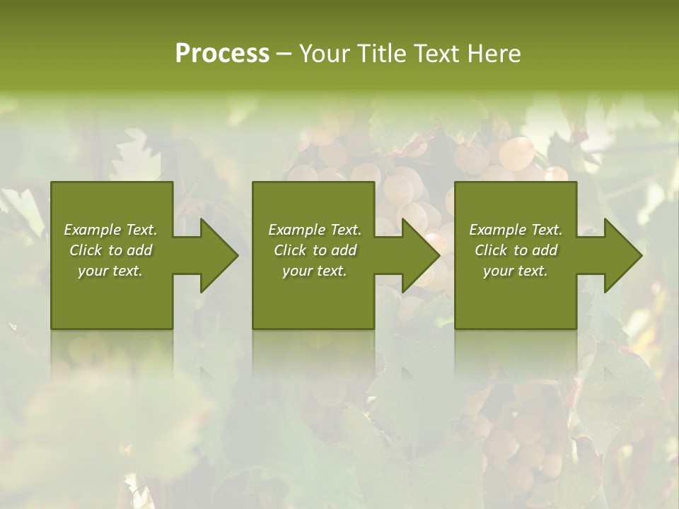 Juicy Sunny Tasty PowerPoint Template