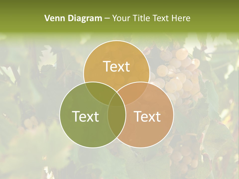 Juicy Sunny Tasty PowerPoint Template