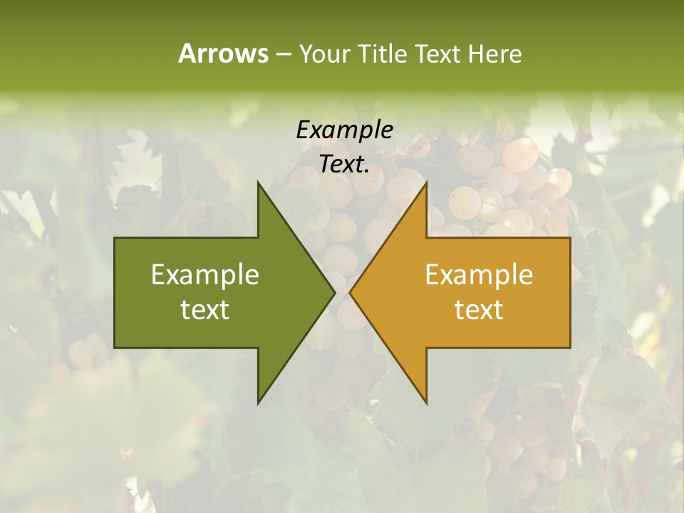 Juicy Sunny Tasty PowerPoint Template