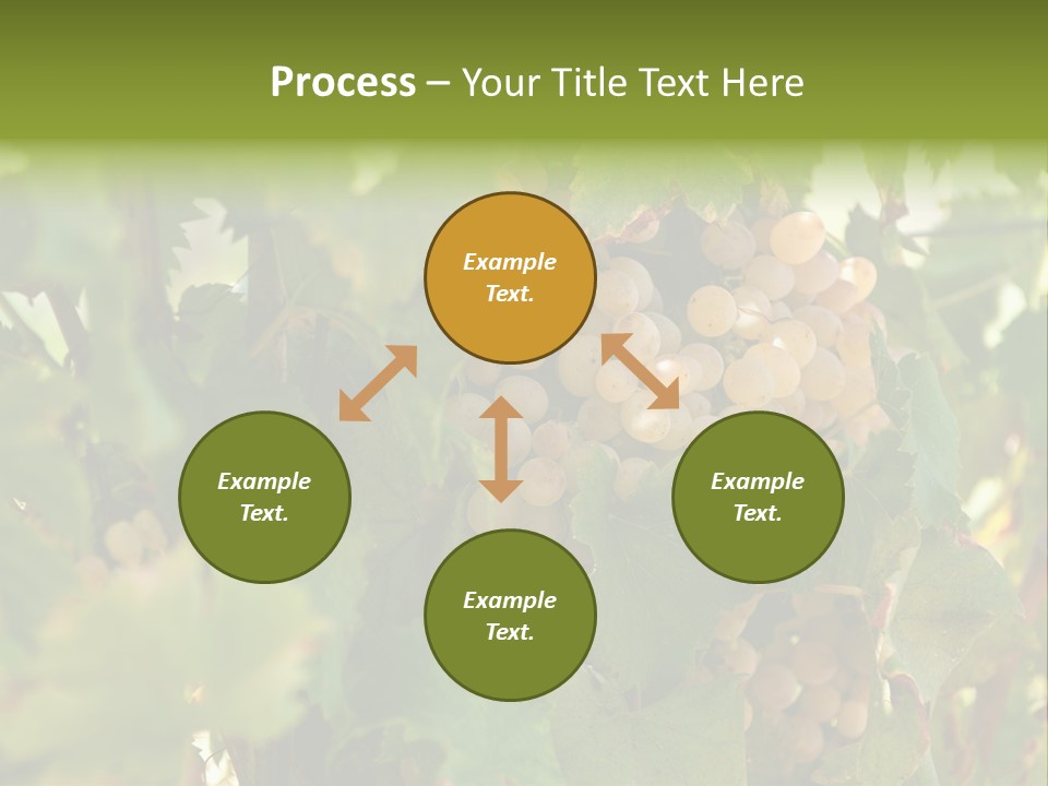 Juicy Sunny Tasty PowerPoint Template