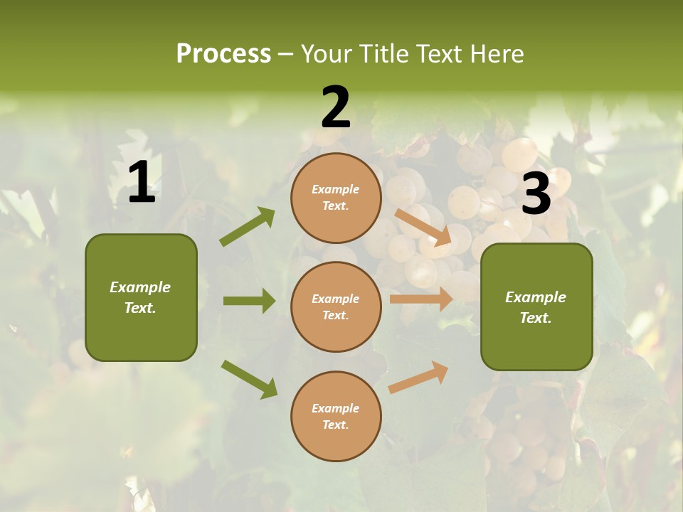 Juicy Sunny Tasty PowerPoint Template