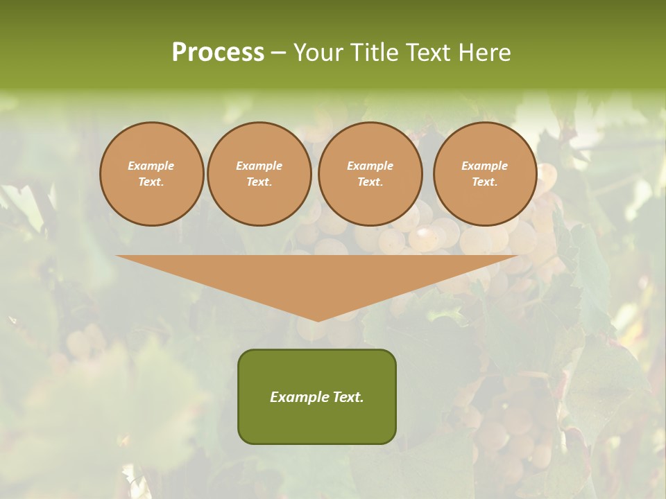 Juicy Sunny Tasty PowerPoint Template