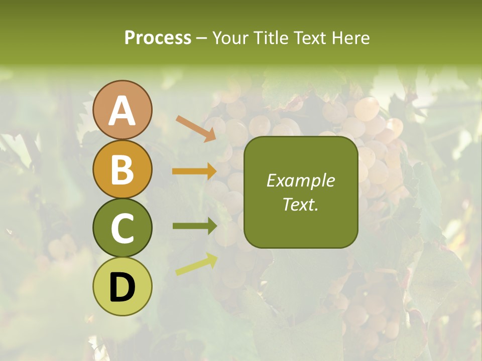 Juicy Sunny Tasty PowerPoint Template