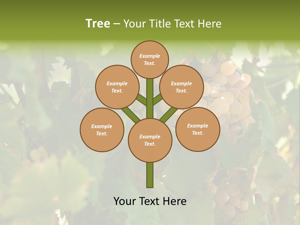 Juicy Sunny Tasty PowerPoint Template
