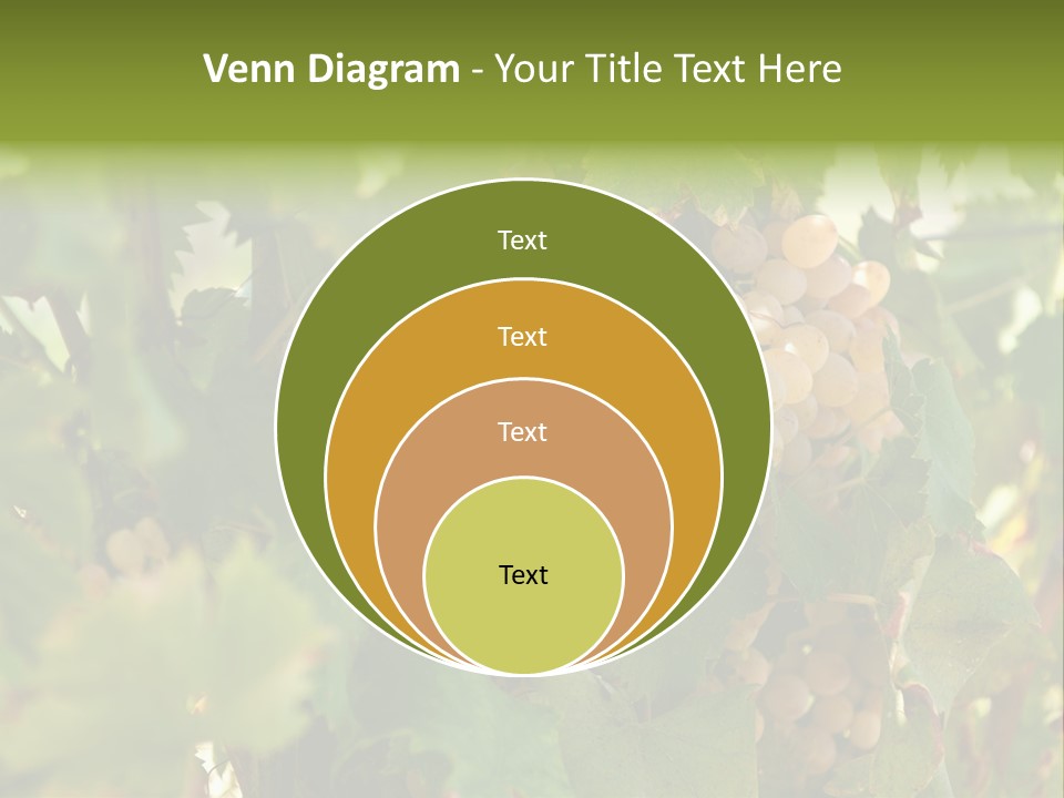 Juicy Sunny Tasty PowerPoint Template