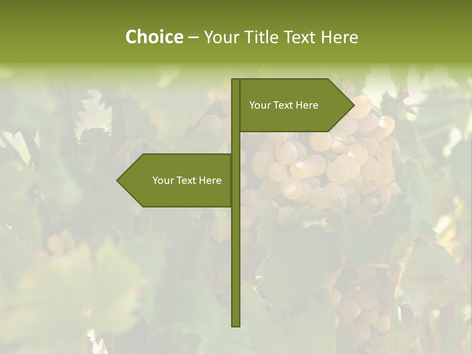 Juicy Sunny Tasty PowerPoint Template