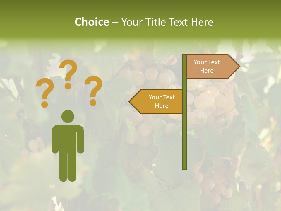 Juicy Sunny Tasty PowerPoint Template